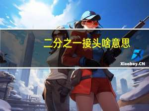二分之一接头啥意思