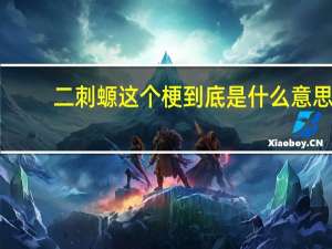 二刺螈这个梗到底是什么意思