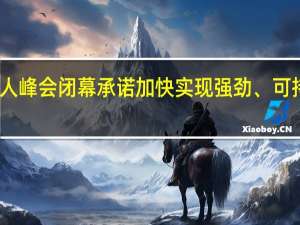 二十国集团领导人峰会闭幕 承诺加快实现强劲、可持续、平衡和包容增长