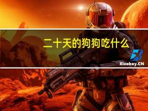 二十天的狗狗吃什么