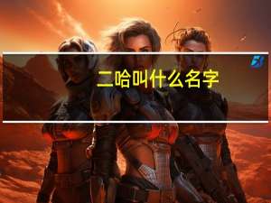 二哈叫什么名字