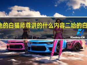 二哈和他的白猫师尊讲的什么内容 二哈的白猫师尊电视剧