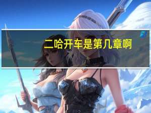 二哈开车是第几章啊