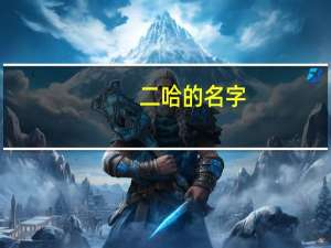 二哈的名字