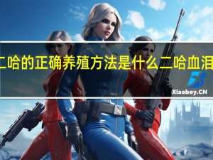 二哈的正确养殖方法是什么二哈血泪史介绍