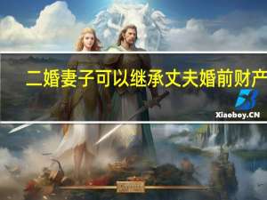 二婚妻子可以继承丈夫婚前财产吗