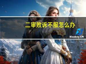 二审败诉不服怎么办