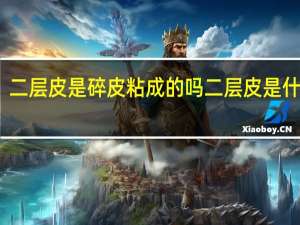 二层皮是碎皮粘成的吗 二层皮是什么皮