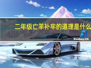 二年级亡羊补牢的道理是什么