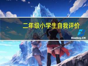 二年级小学生自我评价