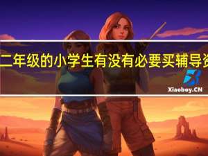 二年级的小学生有没有必要买辅导资料啊，如果买，买什么样的书籍啊