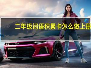 二年级词语积累卡怎么做上册