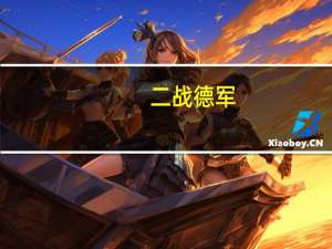 二战德军（骷髅军队2中文版）