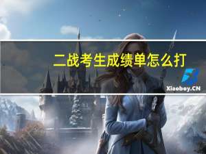 二战考生成绩单怎么打
