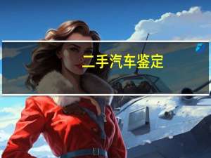 二手汽车鉴定