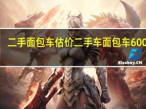二手面包车估价 二手车面包车6000元