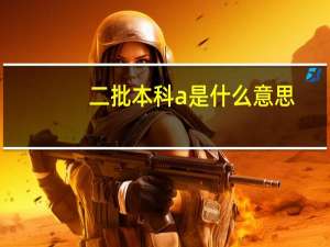 二批本科a是什么意思