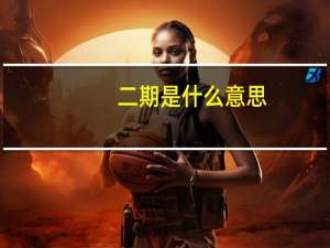 二期是什么意思