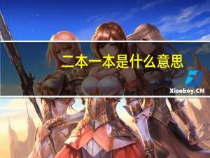 二本一本是什么意思