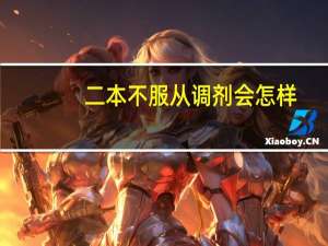 二本不服从调剂会怎样