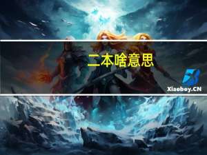 二本啥意思