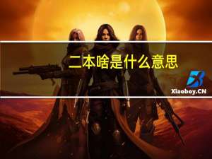 二本啥是什么意思