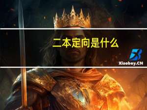 二本定向是什么