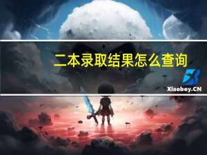 二本录取结果怎么查询