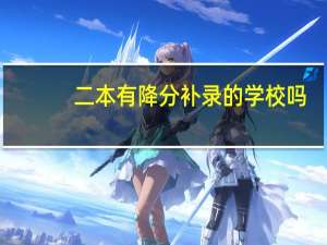 二本有降分补录的学校吗