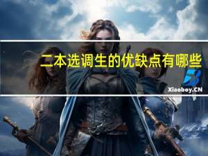 二本选调生的优缺点有哪些