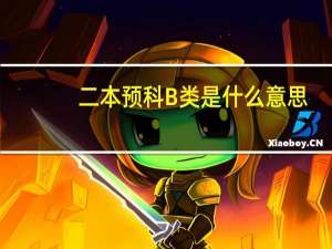 二本预科B类是什么意思