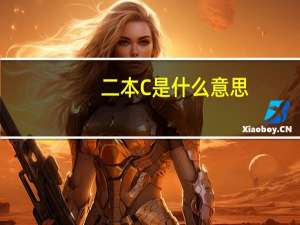 二本C是什么意思