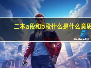 二本a段和b段什么是什么意思