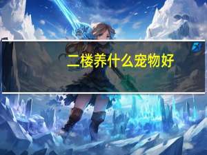 二楼养什么宠物好