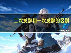 二次发酵和一次发酵的区别