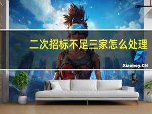 二次招标不足三家怎么处理