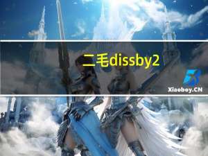 二毛dissby2（二毛中国有嘻）
