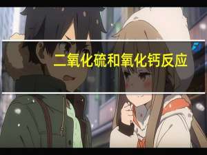 二氧化硫和氧化钙反应