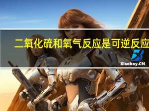 二氧化硫和氧气反应是可逆反应吗