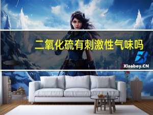 二氧化硫有刺激性气味吗