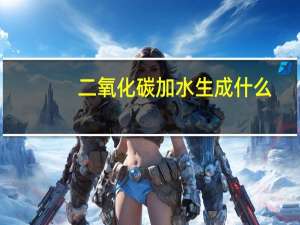 二氧化碳加水生成什么