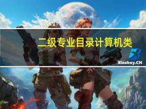二级专业目录计算机类(0252):不限（二级专业目录计算机类）