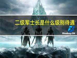 二级军士长是什么级别待遇