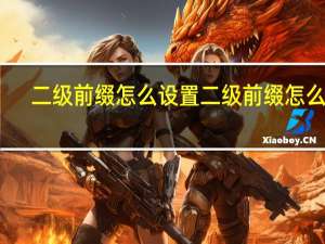 二级前缀怎么设置 二级前缀怎么填