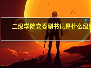 二级学院党委副书记是什么级别（二级学院）