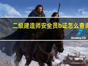 二级建造师安全员b证怎么查询