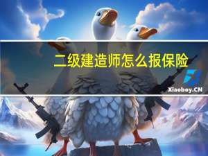 二级建造师怎么报保险
