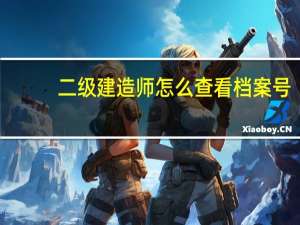二级建造师怎么查看档案号