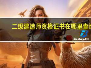 二级建造师资格证书在哪里查询