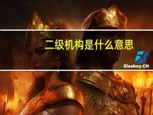 二级机构是什么意思